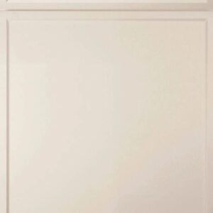 Elegant white cabinet door with raised panel design for kitchen or bathroom.
